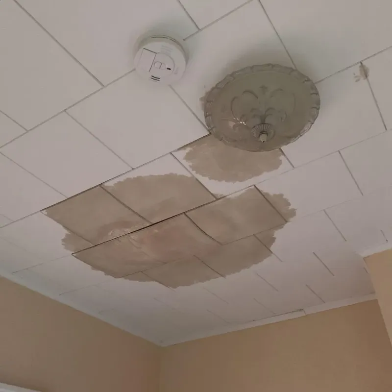 Ceiling Water Damage Repair in Cleona, PA