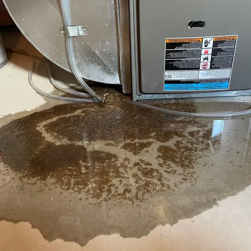 Pipe Burst and Leak Restoration in Cleona, PA