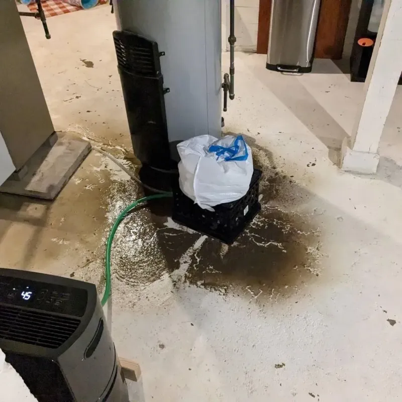 Sewage Backup Cleanup Service in Cleona, PA